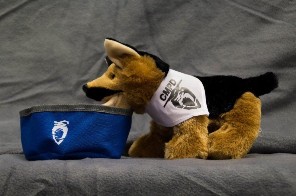 Collapsible Pet Bowl